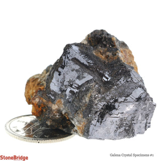 Galena Crystal Specimens #1 - 20g to 50g    from Stonebridge Imports