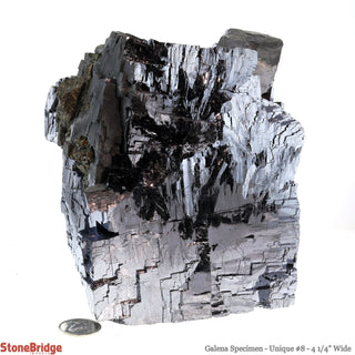Galena Specimen U#8    from Stonebridge Imports