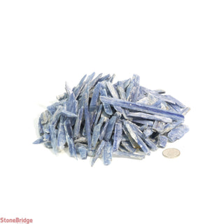 Kyanite Blue Blades - Assorted    from Stonebridge Imports