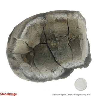 Rainbow Pyrite Geode U#7    from Stonebridge Imports