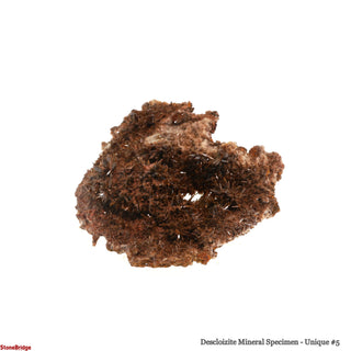 Descloizite Mineral Specimen U#5 - 2 1/2"    from Stonebridge Imports
