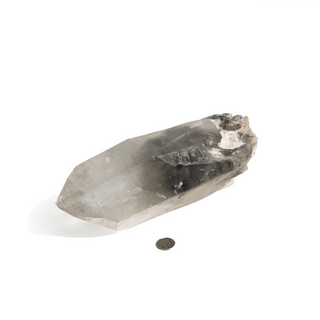 Lemurian Black Phantom Quartz Point U#1 - 9"L from The Rock Space