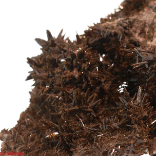 Descloizite Mineral Specimen U#5 - 2 1/2"    from Stonebridge Imports