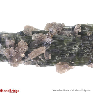 Tourmaline Elbaite With Albite U#7    from Stonebridge Imports