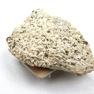 Albite with Cleavelandite Crystal U#21 - 20"    from Stonebridge Imports