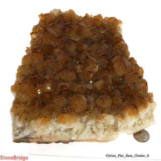 Citrine Cluster #8 - 9" (Enhanced) from Stonebridge Imports