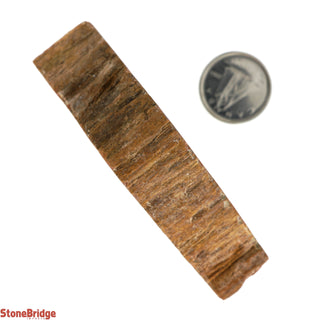 Petrified Wood Slices #3 - 100g to 200g    from Stonebridge Imports