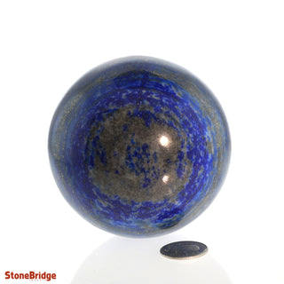 Lapis Lazuli A Sphere from Stonebridge Imports