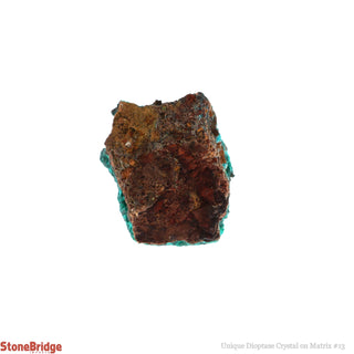 Dioptase Specimen on Matrix U#13 - 1"    from Stonebridge Imports