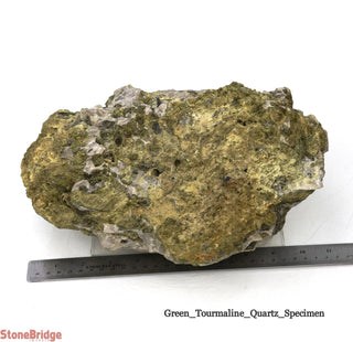 Green Tourmaline on Quartz Matrix U#9    from Stonebridge Imports