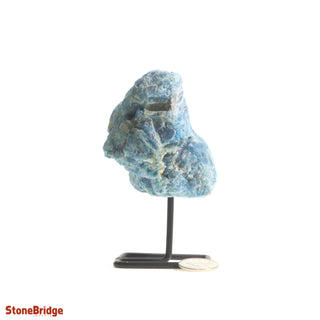 Apatite Specimen on Stand #3    from Stonebridge Imports