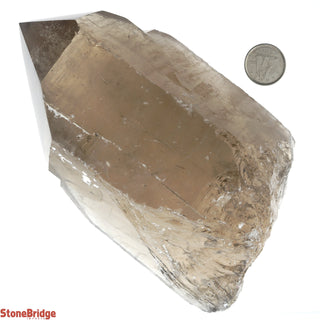 Smoky Quartz Point E #5 - 600g to 899g    from Stonebridge Imports