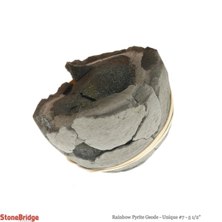 Rainbow Pyrite Geode U#7    from Stonebridge Imports