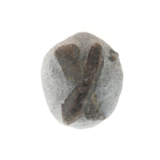 Staurolite On Matrix from The Rock Space