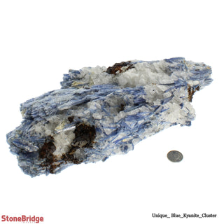 Kyanite Blue Cluster U#21 from The Rock Space