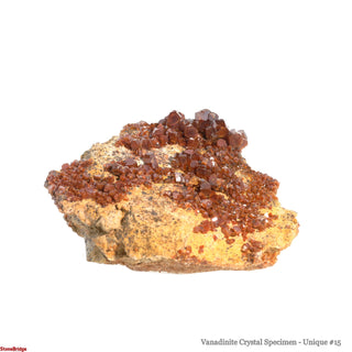 Vanadinite Specimen U#15 - 4" from The Rock Space