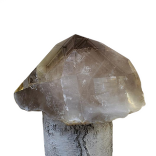 Smoky Quartz Point GIANT! U#1 from The Rock Space