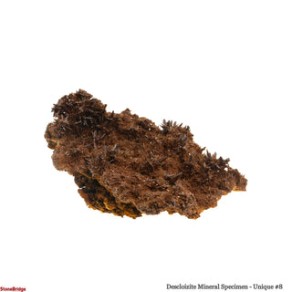Descloizite Mineral Specimen U#8 - 3" from The Rock Space