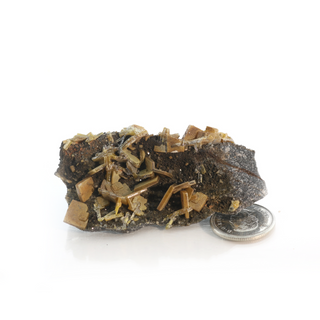 Wulfenite Mineral Specimen from The Rock Space