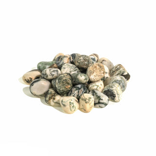 Green Tree Agate Tumbled Stones - India from The Rock Space
