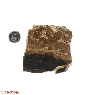 Calcite Chocolate Slice #1 from The Rock Space