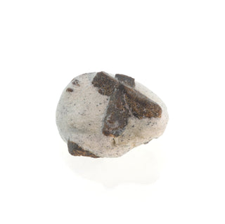 Staurolite On Matrix from The Rock Space