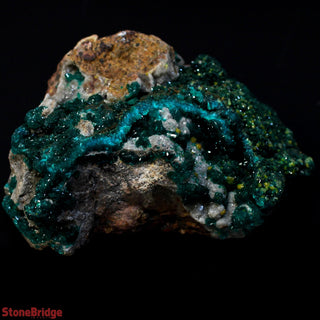 Dioptase Specimen on Matrix U#1 - 2 1/4" from The Rock Space
