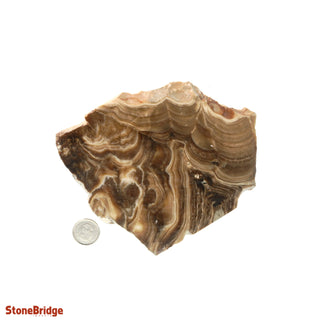 Calcite Chocolate Slice #3 from The Rock Space