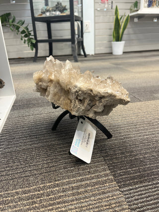 Smoky Quartz Cluster on Iron Stand U#2 - 10" from The Rock Space
