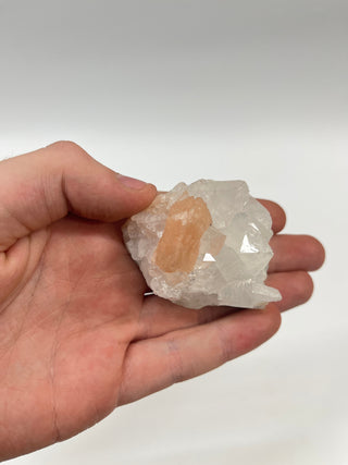 Zeolite Cluster 1.5"-3" - 24 Pieces Flat from Stonebridge Imports
