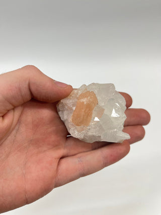 Zeolite Cluster 1.5"-3" - 24 Pieces Flat from The Rock Space