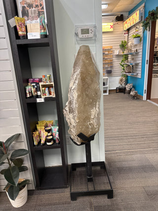 Smoky Quartz Cluster on Stand U99 - 130kg 4ft tall from The Rock Space