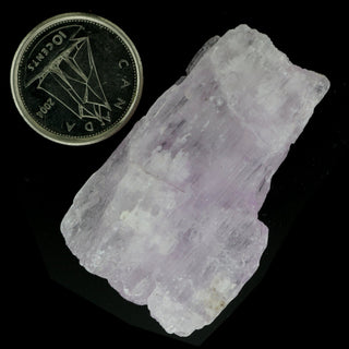 Kunzite Rough Crystal Specimen #2 from The Rock Space