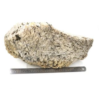 Albite with Cleavelandite Crystal U#22 - 14"    from Stonebridge Imports