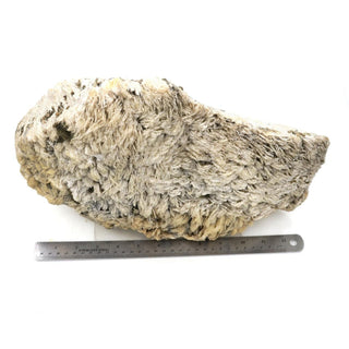 Albite with Cleavelandite Crystal U#22 - 14" from The Rock Space