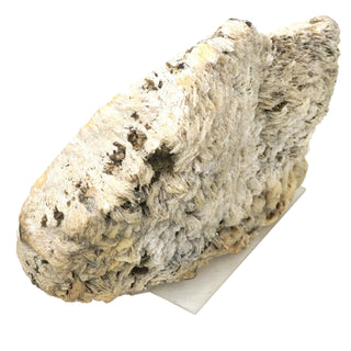 Albite with Cleavelandite Crystal U#22 - 14" from The Rock Space