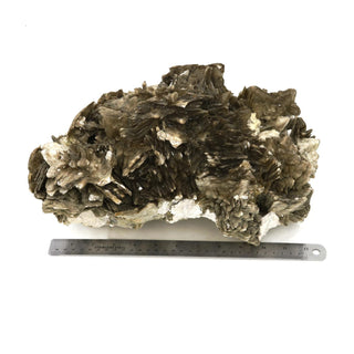 Albite Crystal Specimen U#10 - 13"    from Stonebridge Imports