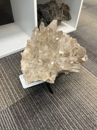 Smoky Quartz Cluster on Iron Stand U#2 - 10" from The Rock Space