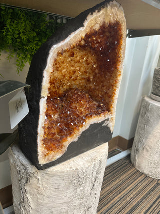 Citrine Cathedral Unique #83 - 15.78kg - 13" from The Rock Space