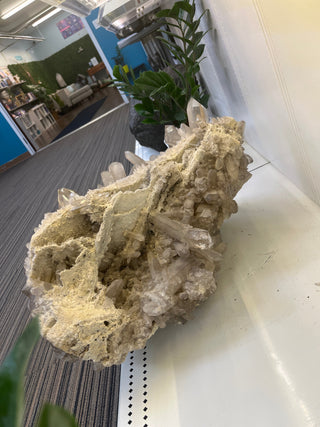 Smoky Quartz Cluster Unique #9 from The Rock Space