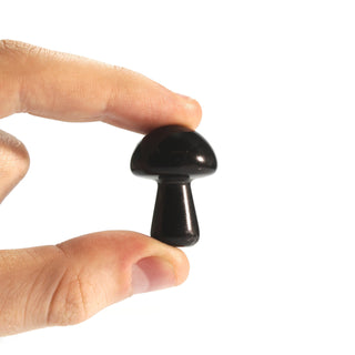 Shungite Mushroom - 1 1/4" from The Rock Space