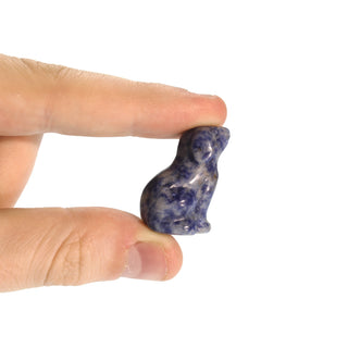 Puppy Carving Sodalite    from The Rock Space