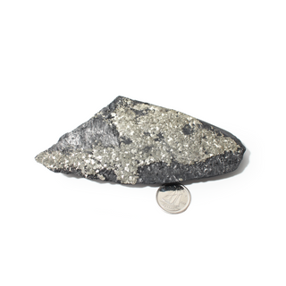 Pyrite on Basalt Crystal Specimen #1 - Up to 2 1/4" from The Rock Space