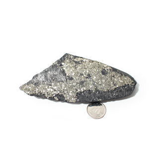 Pyrite on Basalt Crystal Specimen #1 - Up to 2 1/4" from The Rock Space