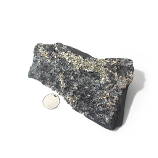 Pyrite on Basalt Crystal Specimen #2 - Up to 2 1/2" from The Rock Space