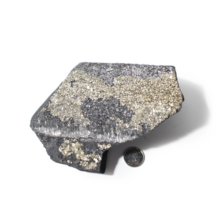 Pyrite on Basalt Crystal Specimen #5 - Up to 5" from The Rock Space