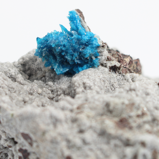 Cavansite Cluster on Matrix from India - Unique #1 - 2 7/8" from The Rock Space