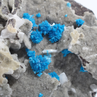 Cavansite Cluster on Matrix from India - Unique #12 - 3 5/8" from The Rock Space