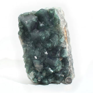 Fluorite Cluster Unique #54 - 7" x 4" from The Rock Space