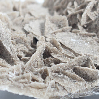 Elephant Ear Selenite Cluster
